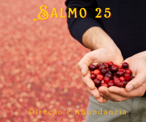 Salmo 25